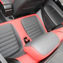 Beetle cabriolet design black with red outer boarders(8)