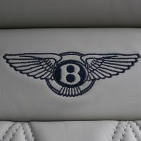 Bentley continental gt mulliner portland nappa(6)